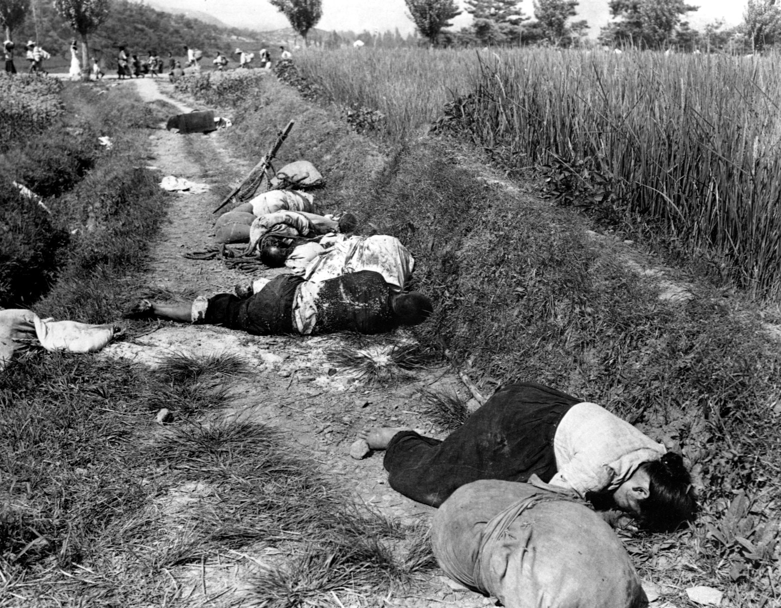 No crean todo lo que dice la prensa occidental