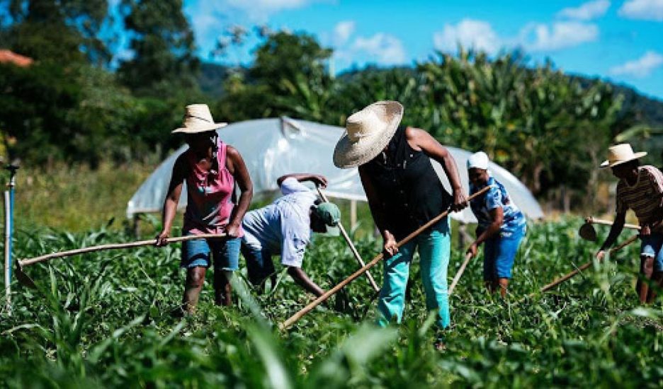 ¿Otro no se puede?: Promover el consumo de productos frescos y saludables elaborados por productores locales, pequeños o familiares