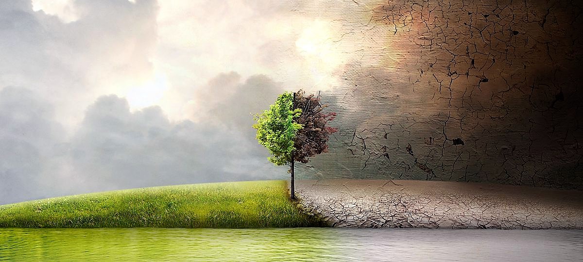 Antes de que sea tarde…
