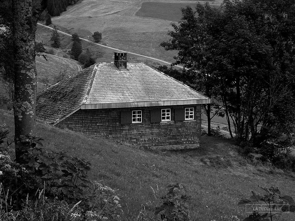 Dios nos guarde de la cordura