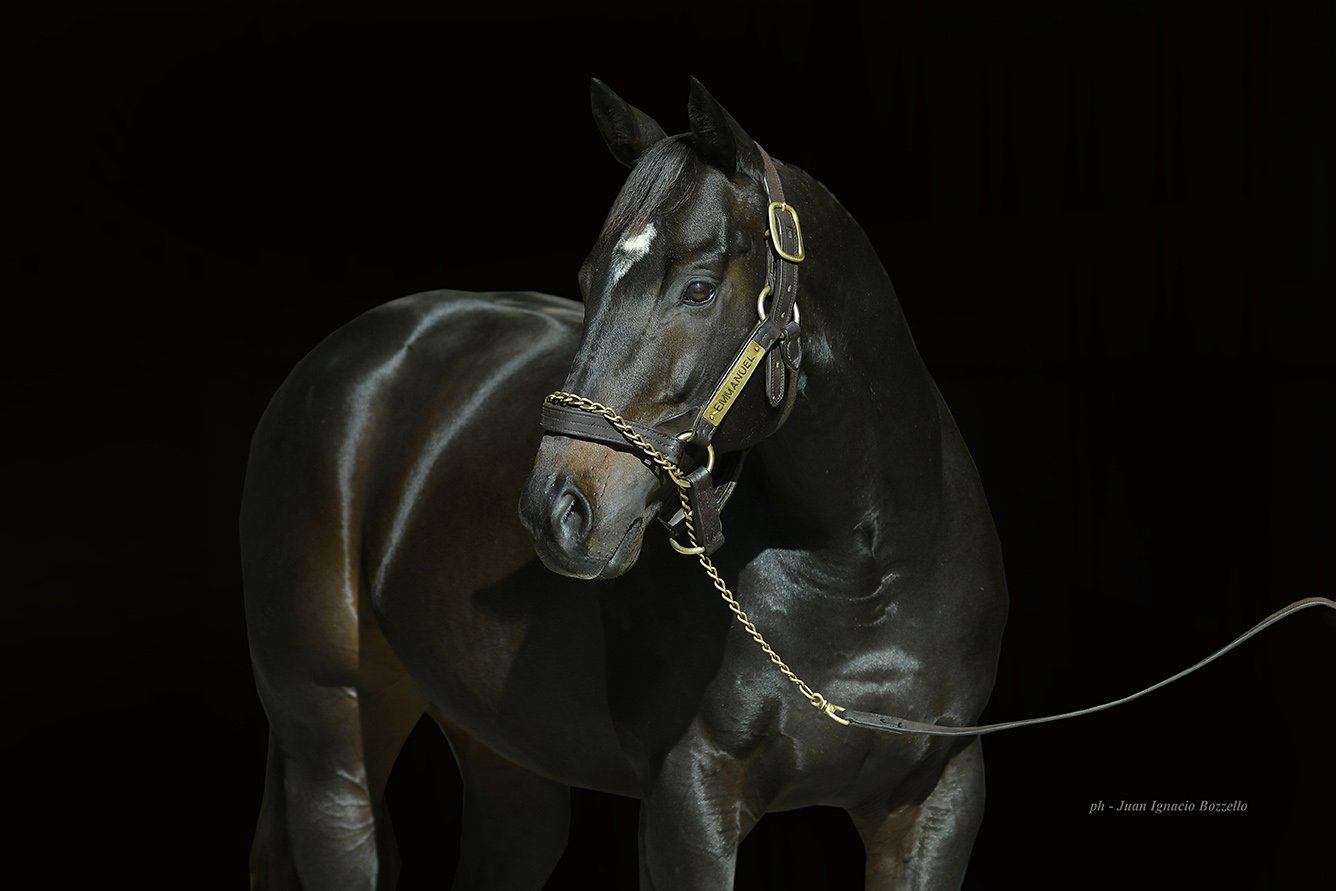 Del transvasamiento de Perón a “La Generación” de Milei