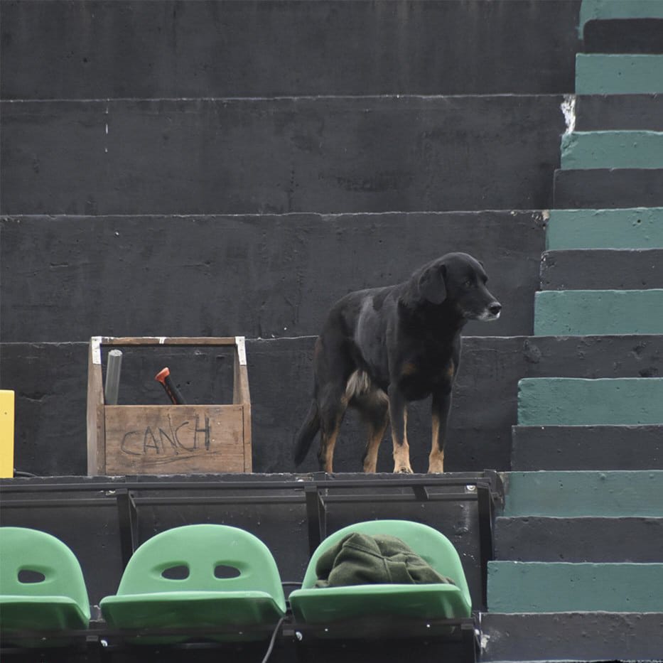 Japón: Verde que te quiero verde