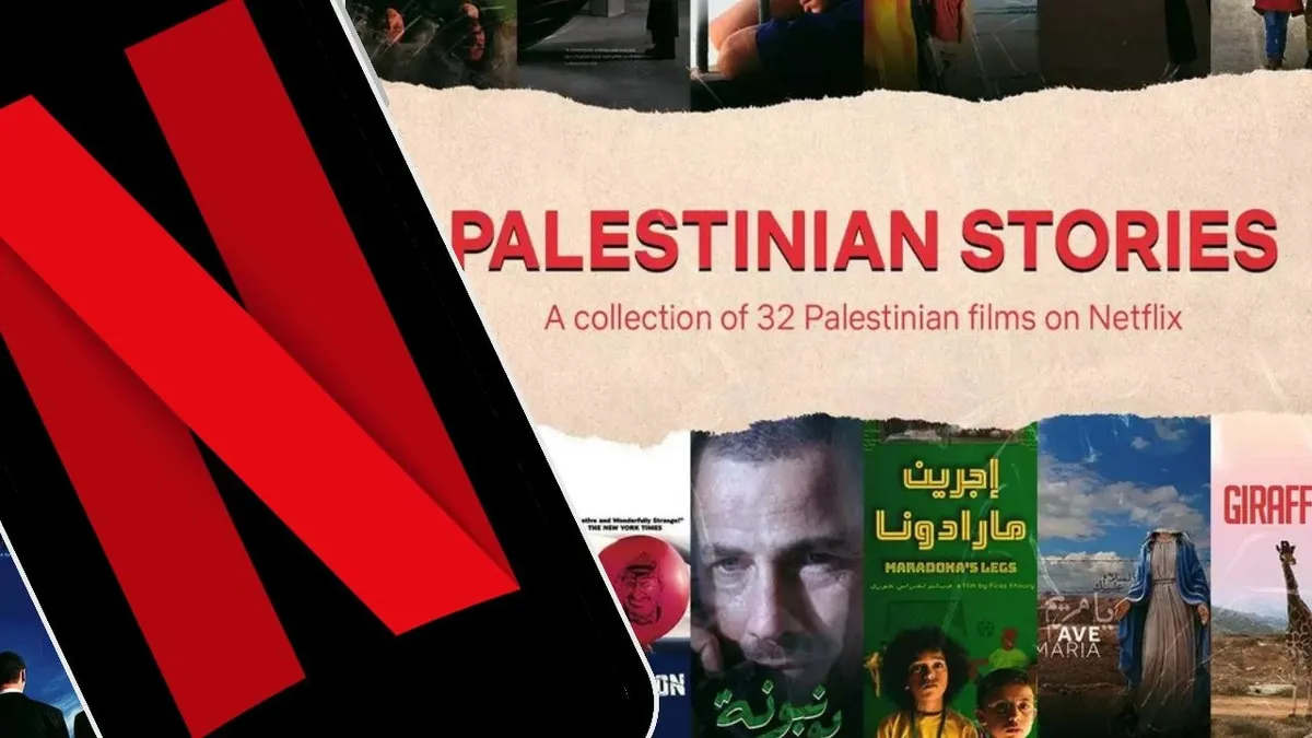 Netflix: Borrado sistemático