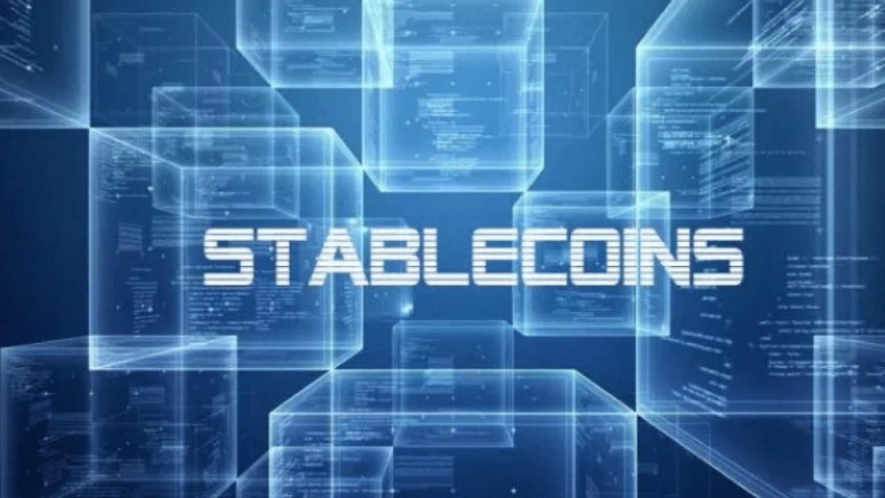 Mundo Libre: Mundo $LIBRA