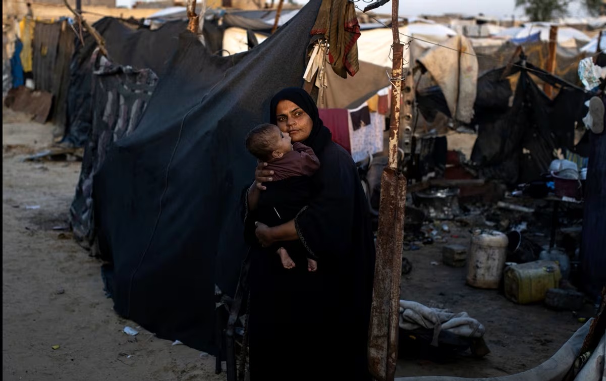 GAZA: el 80% de los refugios están infestados de plagas.